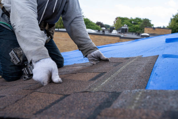 Professional Roofing Contractor in Hayfield, VA
