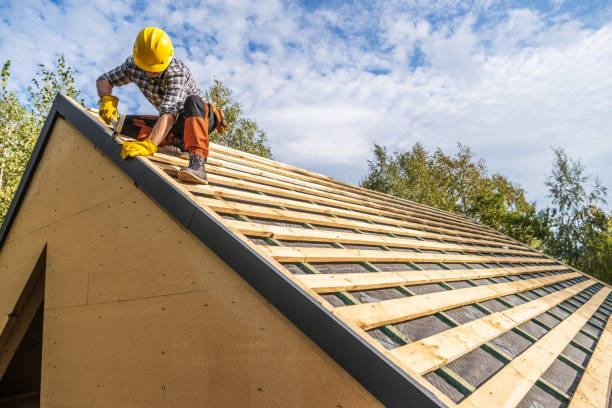 Best Roof Gutter Cleaning  in Hayfield, VA