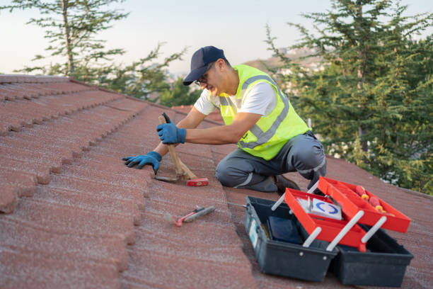 Best Metal Roofing Contractor  in Hayfield, VA